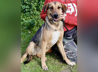 Josy  ♥️  Smartie  *|*  2 von ~650 Hunden in der Cantinho da Milu