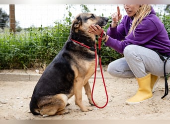 ♥️ Ellie • Nana ♥️ 2 von ~650 Hunden in der Cantinho da Milu