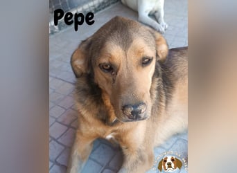 ♦️P•E•P•E♦️ mit kleinem Handicap - das aber nicht stört !