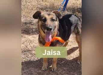 JAISA JAISA