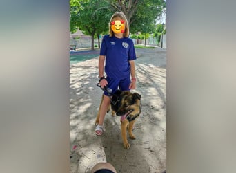JAISA JAISA