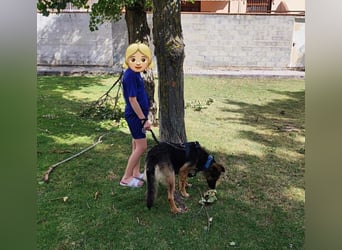 JAISA JAISA