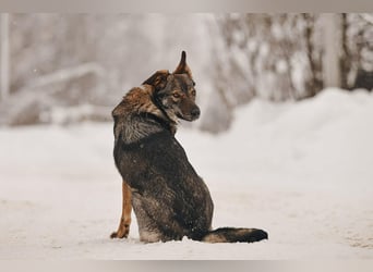 Aktive Leyla sucht ihre Familie