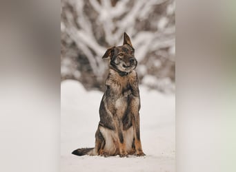 Aktive Leyla sucht ihre Familie