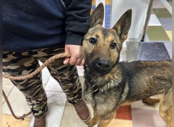 Jack LM Raus aus dem Heim rein ins Herz