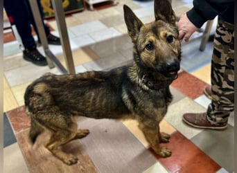 Jack LM Raus aus dem Heim rein ins Herz