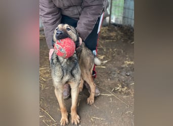 Jack LM Raus aus dem Heim rein ins Herz