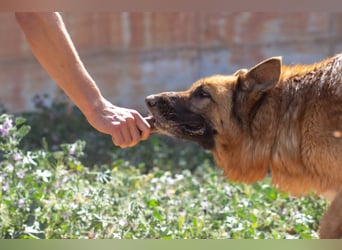 Herzensdame BLANCA wartet auf DICH