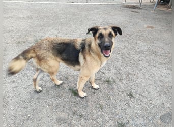 ❤️BRUNO❤️  NOTFALL