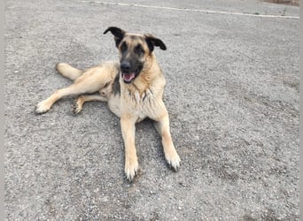 ❤️BRUNO❤️  NOTFALL