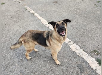 ❤️BRUNO❤️  NOTFALL