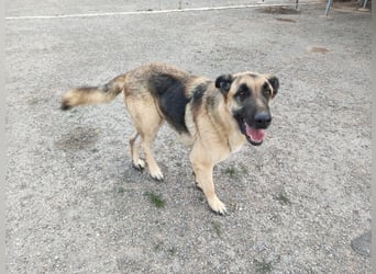 ❤️BRUNO❤️  NOTFALL