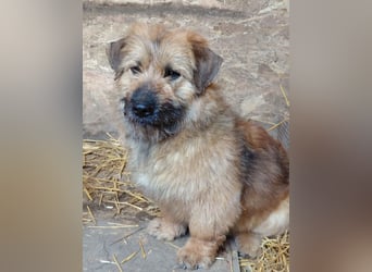 Penny - mutige Mama mit großem Herz