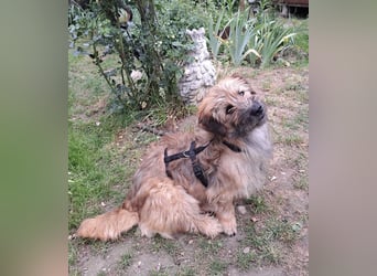 Penny - mutige Mama mit großem Herz