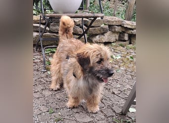 Penny - mutige Mama mit großem Herz