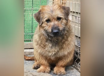 Penny - mutige Mama mit großem Herz