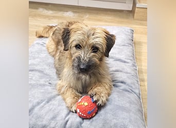 Penny - mutige Mama mit großem Herz