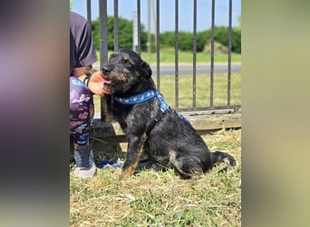 ❤️ Roby Pflegefamilie Erkelenz