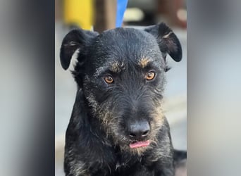 ❤️ Roby Pflegefamilie Erkelenz