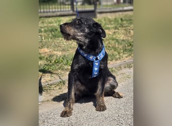 ❤️ Roby Pflegefamilie Erkelenz