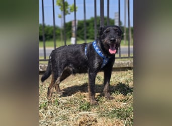 ❤️ Roby Pflegefamilie Erkelenz