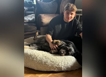 ❤️ Roby Pflegefamilie Erkelenz