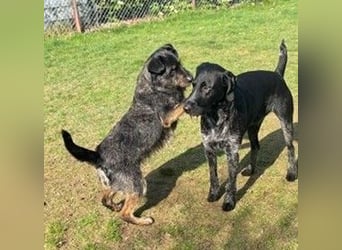 ❤️ Roby Pflegefamilie Erkelenz