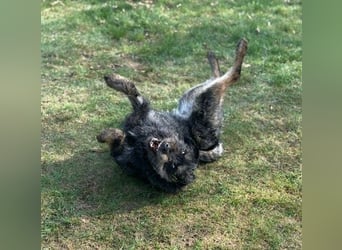 ❤️ Roby Pflegefamilie Erkelenz