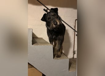 ❤️ Roby Pflegefamilie Erkelenz