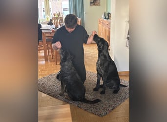 ❤️ Roby Pflegefamilie Erkelenz