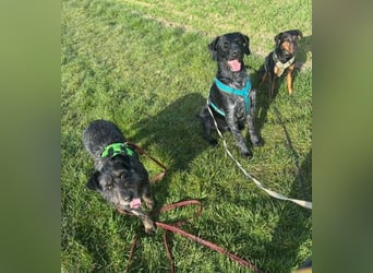 ❤️ Roby Pflegefamilie Erkelenz