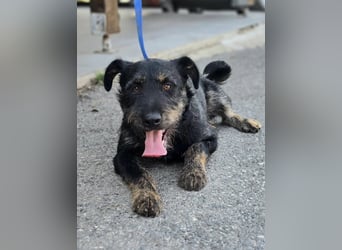 ❤️ Roby Pflegefamilie Erkelenz