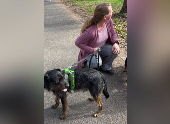 ❤️ Roby Pflegefamilie Erkelenz