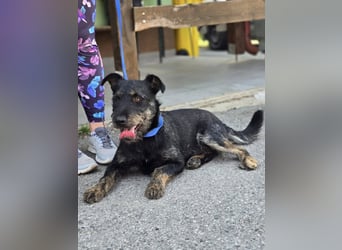 ❤️ Roby Pflegefamilie Erkelenz