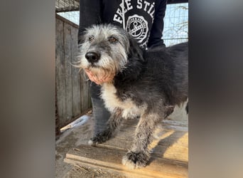 Nyuszi wartet sehnsüchtig auf dich