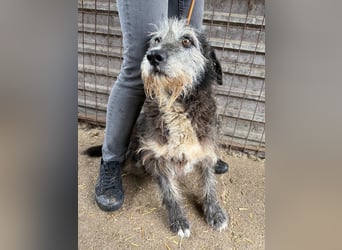 Nyuszi sucht seinen Platz