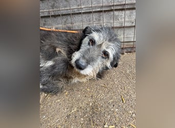 Nyuszi sucht seinen Platz