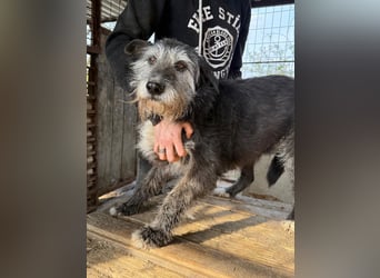 Nyuszi wartet sehnsüchtig auf dich