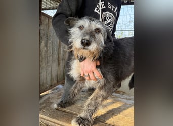 Nyuszi wartet sehnsüchtig auf dich