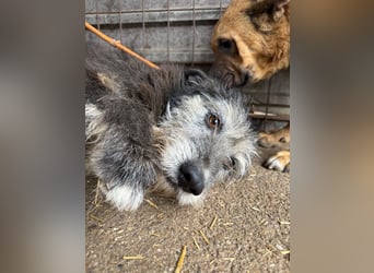 Nyuszi sucht seinen Platz