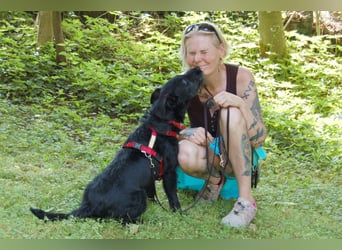 Feliciti - liebevoll und treu - Tierhilfe Franken e.V.