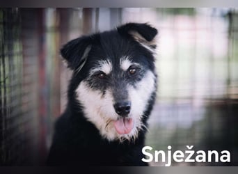 Snježana, Freude pur