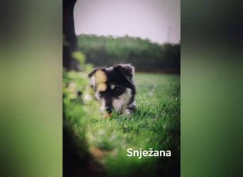 Snježana, Freude pur