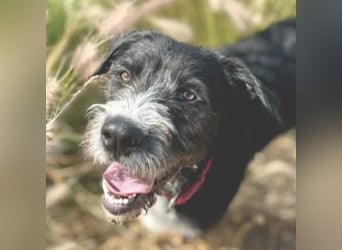 Schnuki (Spanien) – lebensfroher Entdecker mit großem Herz