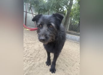 Hanife - will diesen Winter nicht zittern!