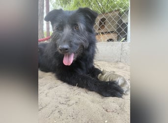 Hanife - will diesen Winter nicht zittern!