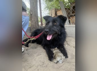 Hanife - will diesen Winter nicht zittern!