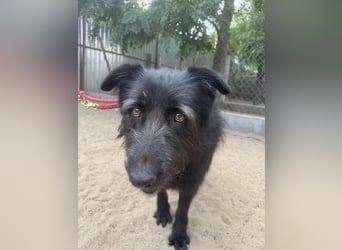 Hanife - will diesen Winter nicht zittern!