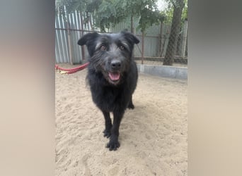 Hanife - will diesen Winter nicht zittern!