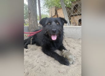 Hanife - will diesen Winter nicht zittern!